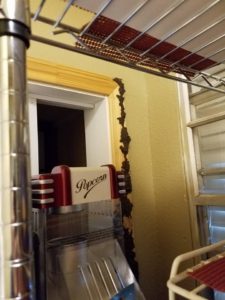 Subterranean Termite Treatment Options